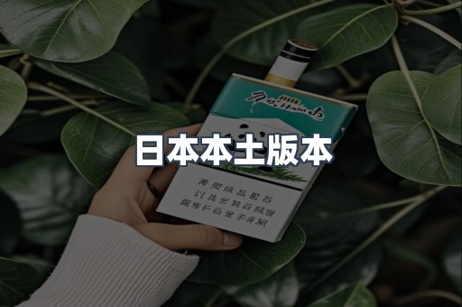 日本本土版本